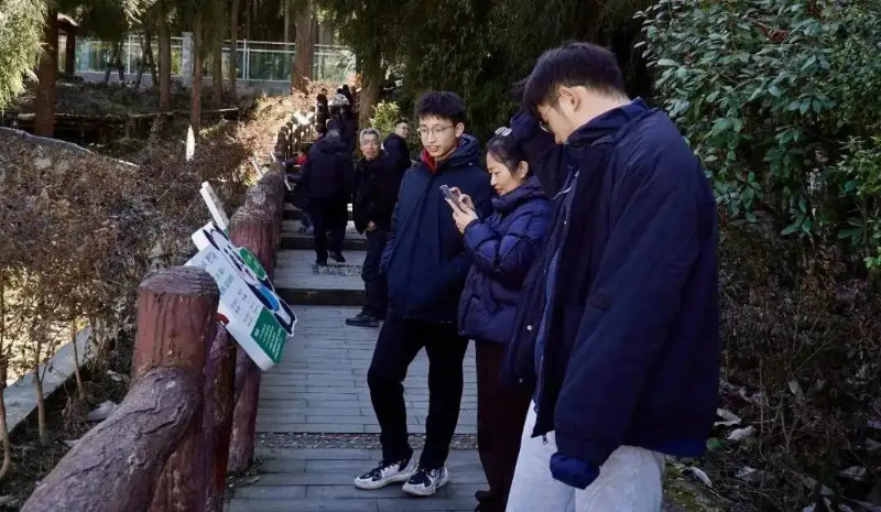 1772001531982136.jpg 未命名-1.jpg