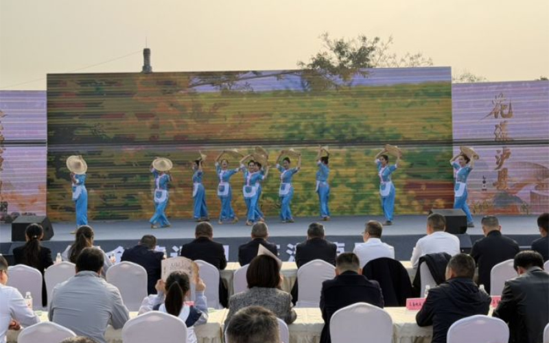 未命名-1.jpg