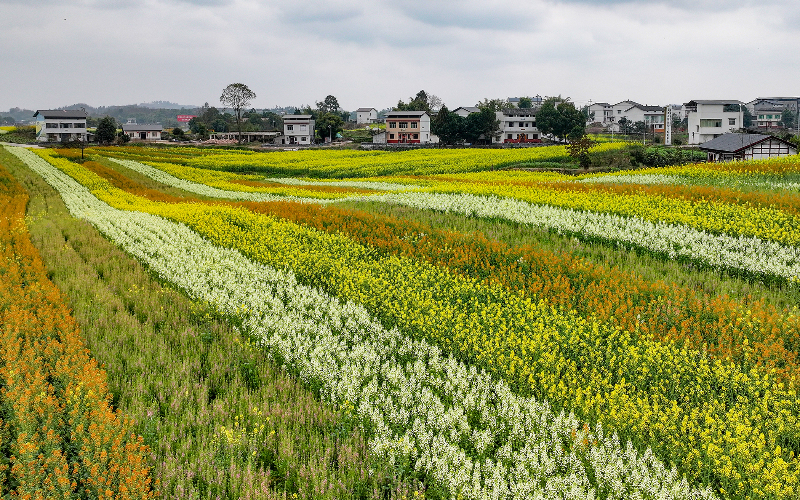 未命名-1.jpg