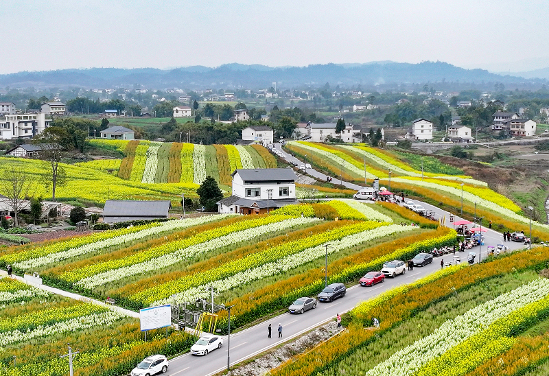 未命名-1.jpg