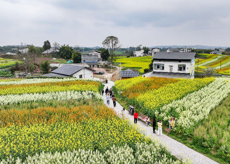 未命名-1.jpg