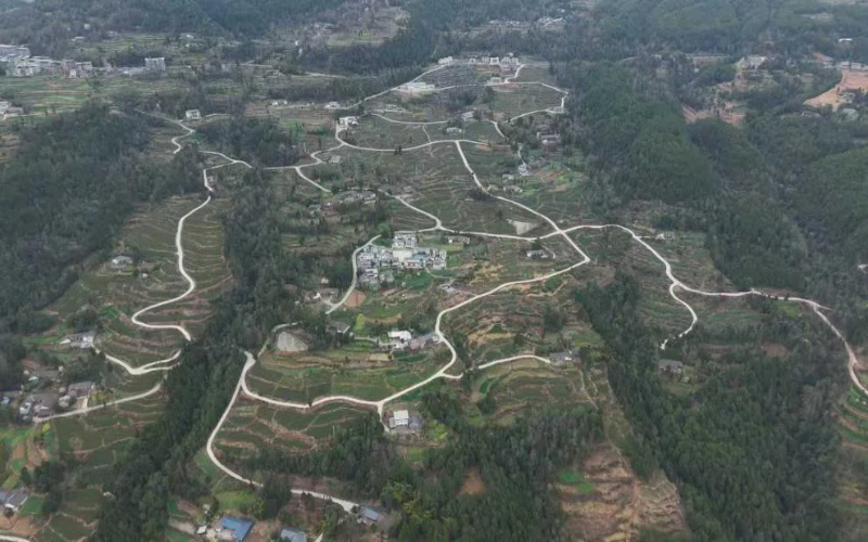 未命名-1.jpg