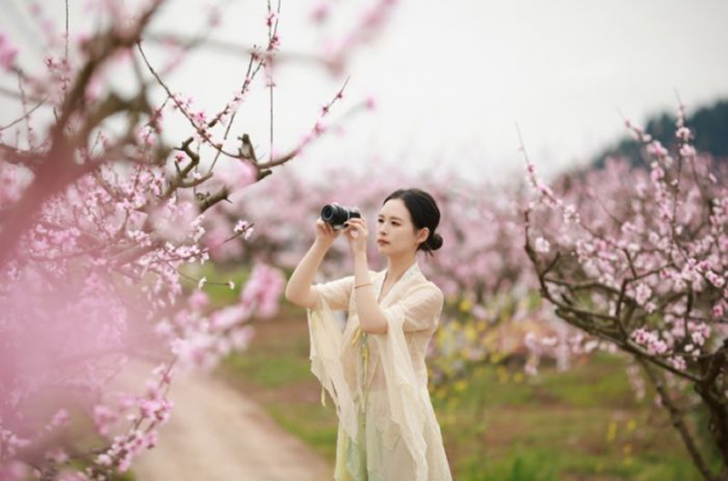 未命名-1.jpg