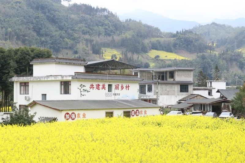 未命名-1.jpg