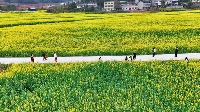 未命名-1.jpg
