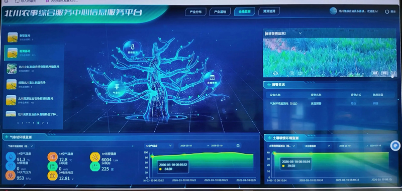 未命名-1.jpg