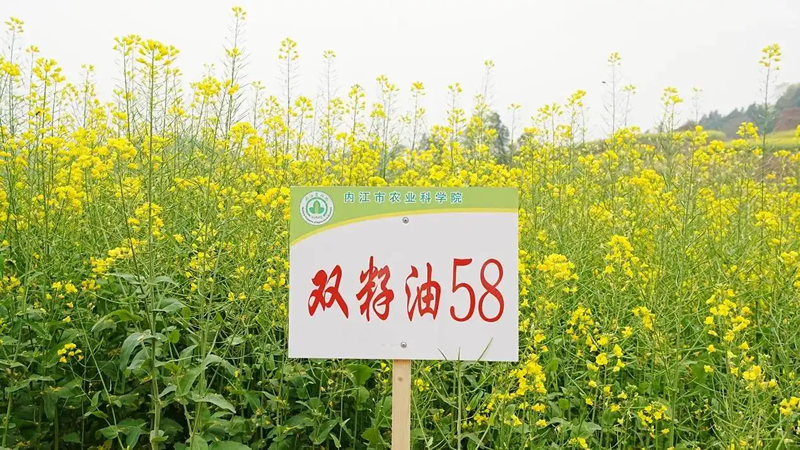 未命名-1.jpg