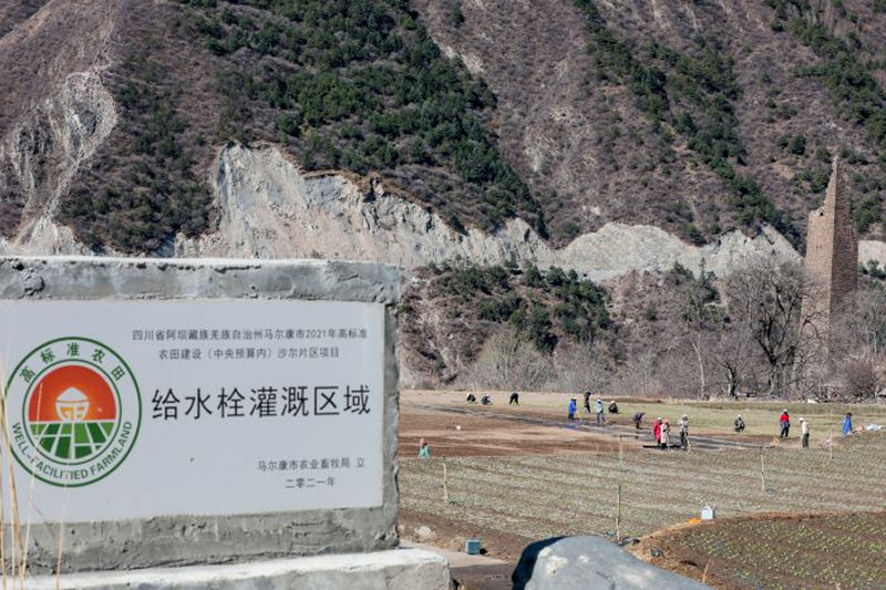 未命名-1.jpg