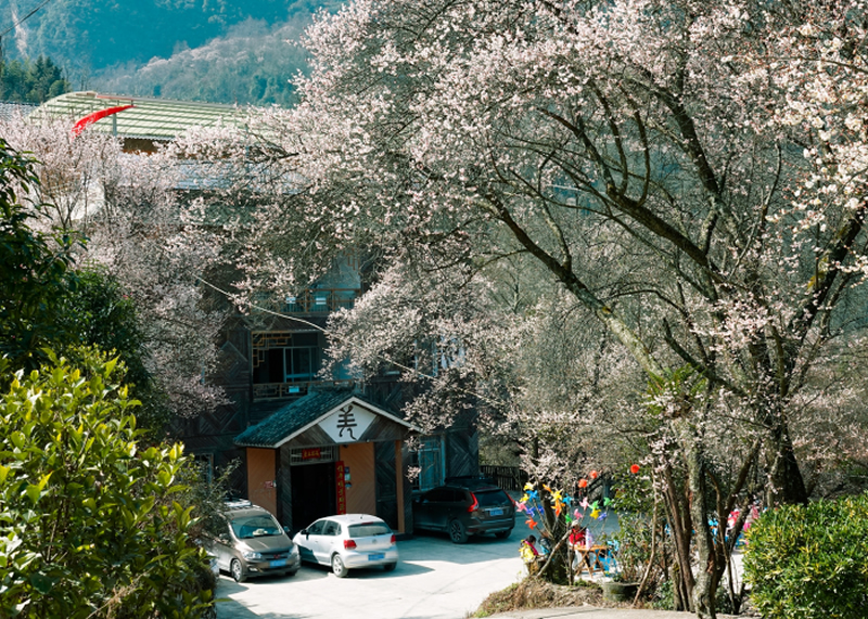 未命名-1.jpg