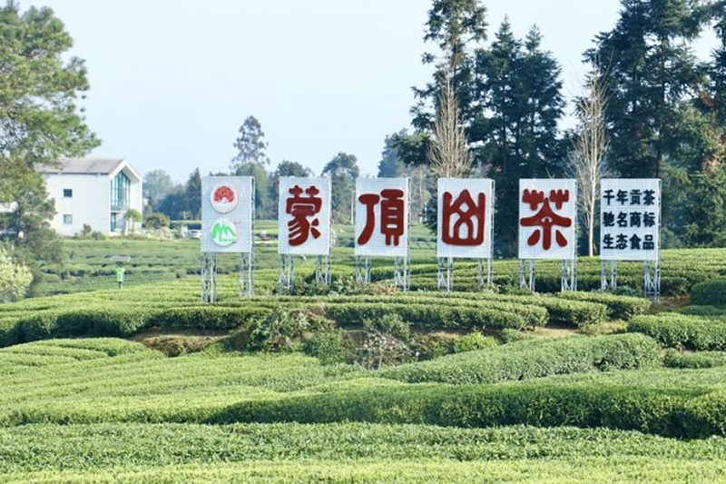 未命名-1.jpg