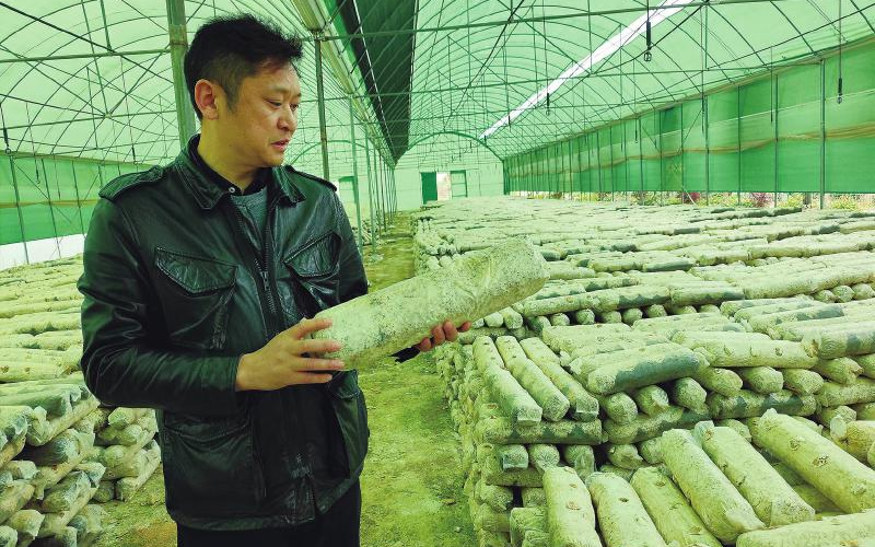 未命名-1.jpg