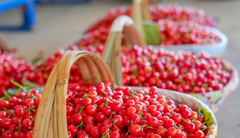 未命名-1.jpg