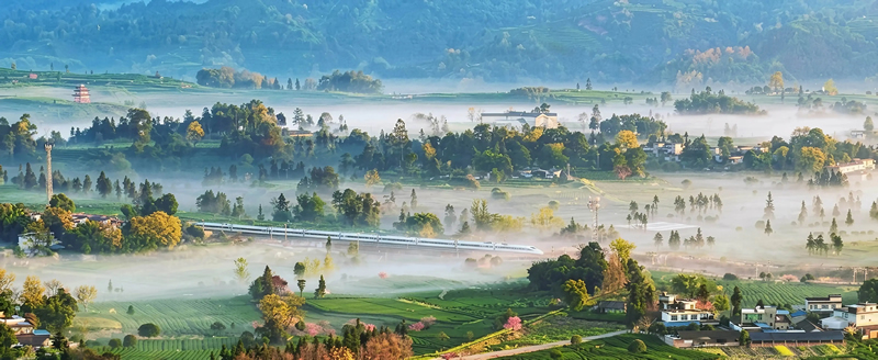 未命名-1.jpg