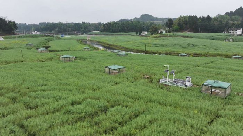 未命名-1.jpg