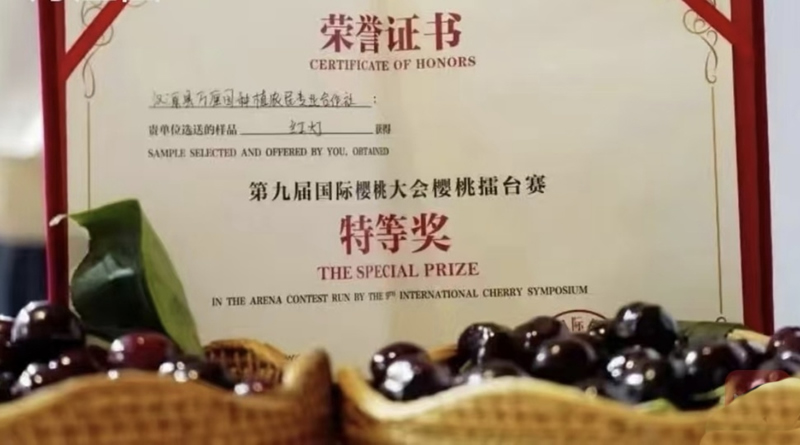 1775181109532694.jpg 未命名-1.jpg