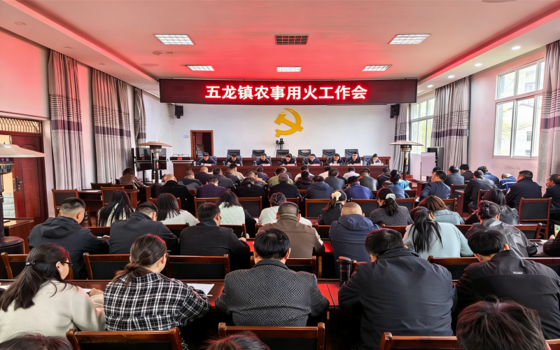 1775706163190120.png WPS图片(1).png