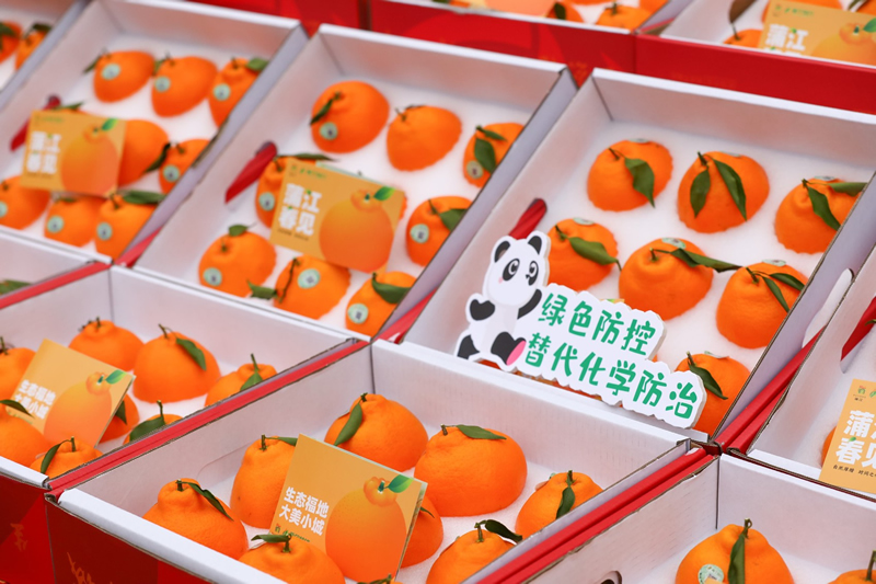 未命名-1.jpg