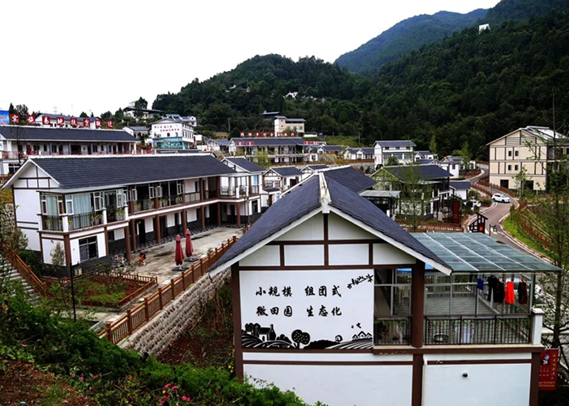 未命名-1.jpg