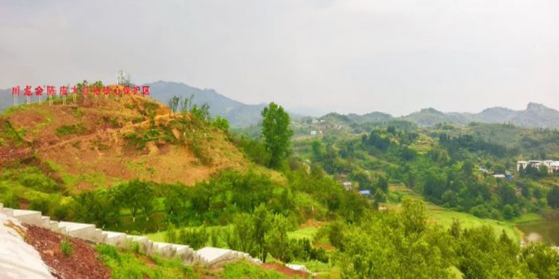 未命名-1.jpg