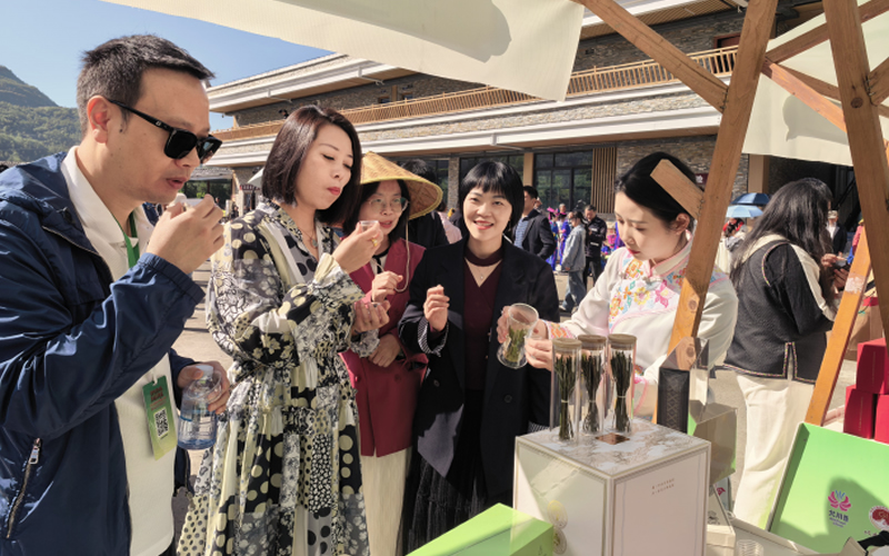 未命名-1.jpg
