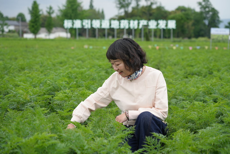 未命名-1.jpg