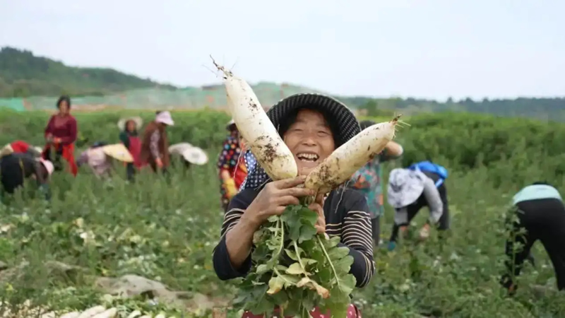 未命名-1.jpg