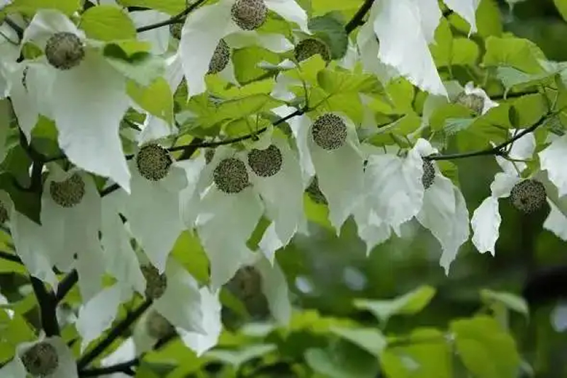未命名-1.jpg