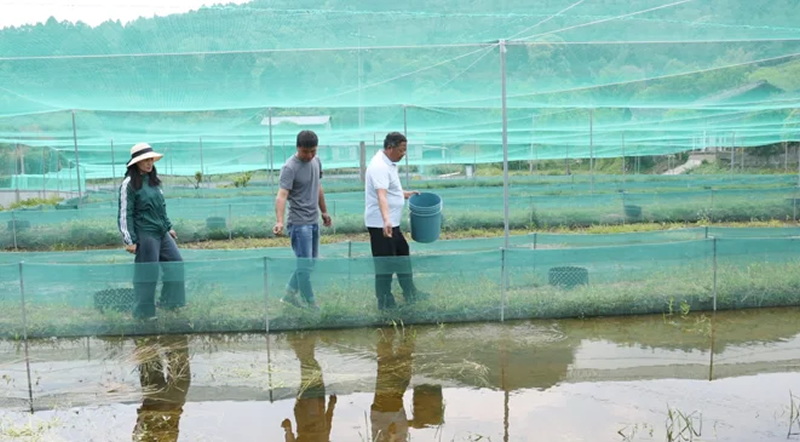 未命名-1.jpg