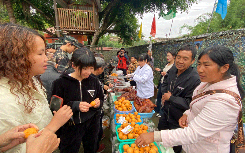未命名-1.jpg