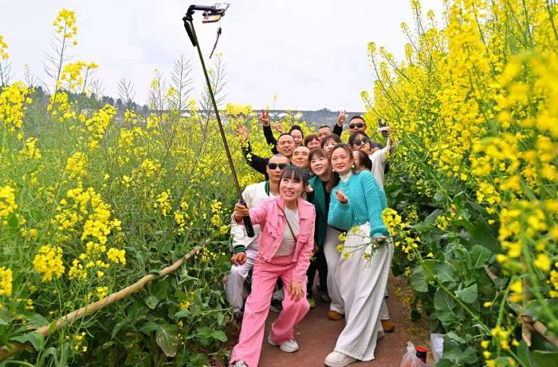 未命名-1.jpg