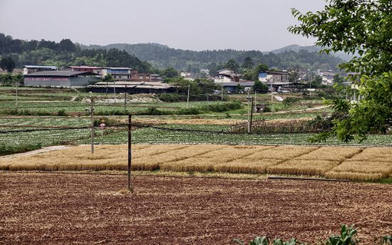 未命名-1.jpg