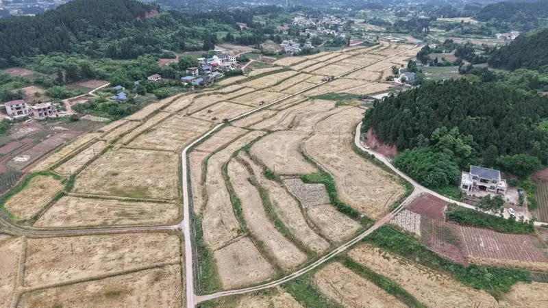 1778573184856201.jpg 未命名-1.jpg