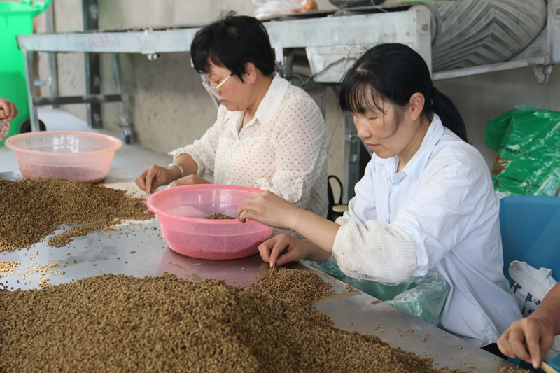 未命名-1.jpg