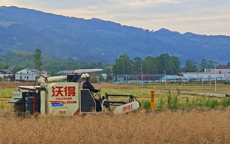 未命名-1.jpg