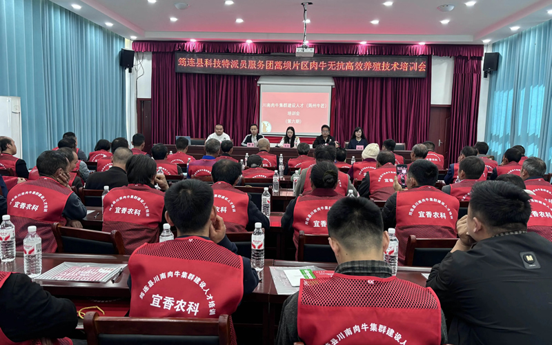 1778742816534793.jpg 未命名-1.jpg