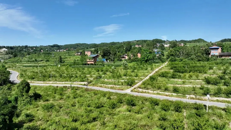 未命名-1.jpg