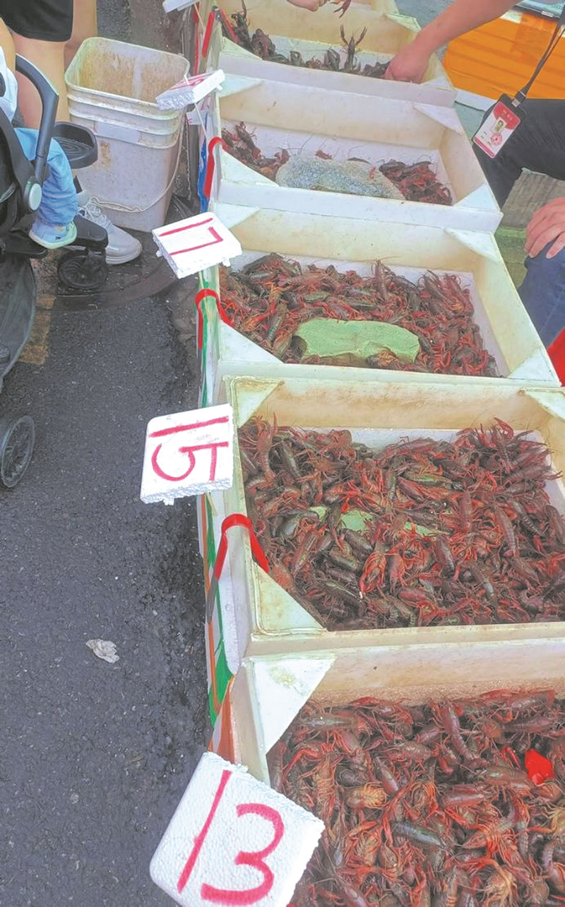 未命名-1.jpg