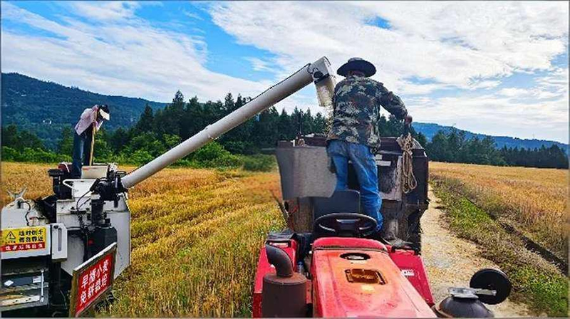 未命名-1.jpg